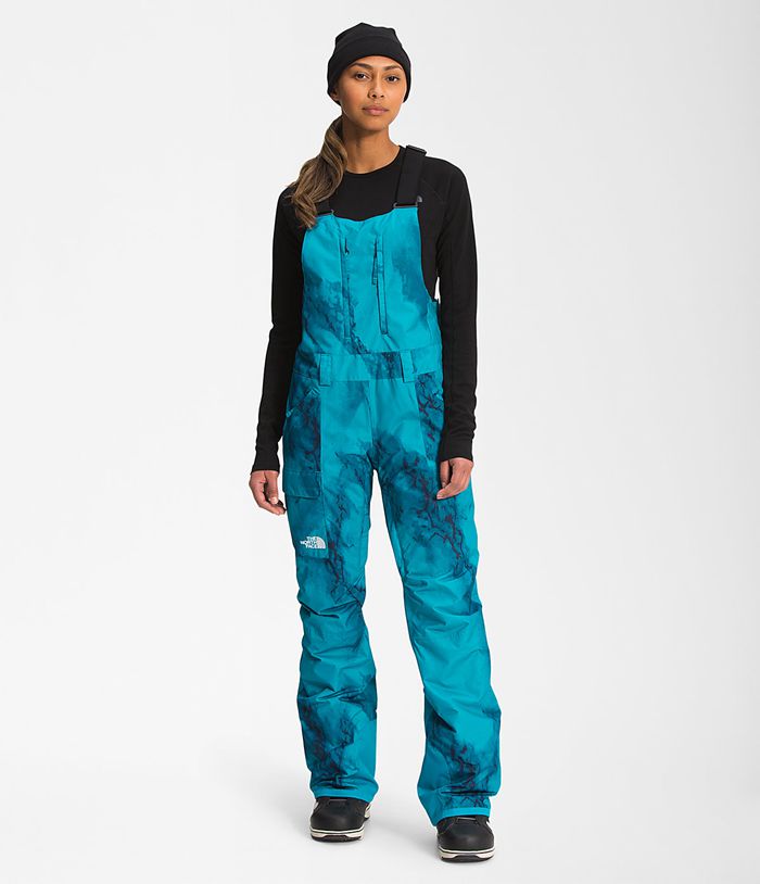 The North Face Snow Pants Freedom Insulated Bib Navy - Womens - Thailand CAZMB-1347